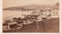 CDV6173
