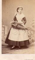 CDV6239