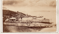 CDV6313