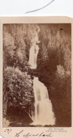 CDV6397