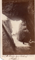 CDV6401