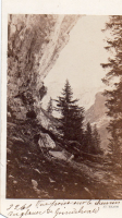 CDV6403