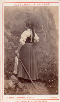 CDV6404