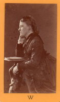 CDV6537