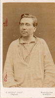 CDV7443