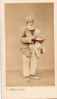 CDV7979