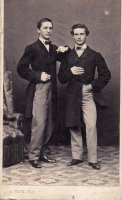 CDV8117