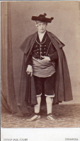 CDV8246