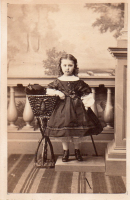 CDV8490
