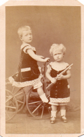 CDV8531