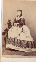 CDV8571