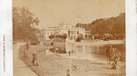 CDV8637