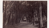 CDV8663