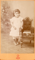 CDW8245