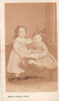 CDX0137