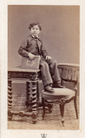 CDX0241