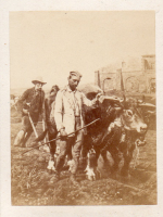 CDX0303