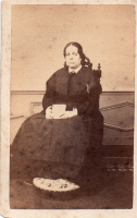 CDX0311