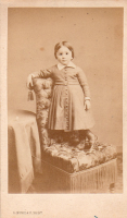 CDX0739