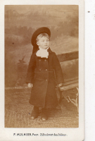 CDX3653