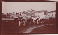 CE291