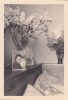 CE493