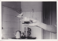 CF011