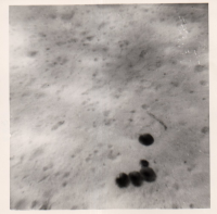 CK027