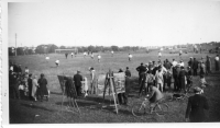 CK501