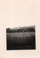 CL569