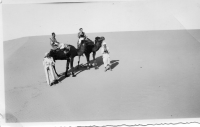 CL844