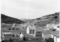 CO036