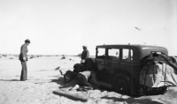 CQ864