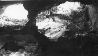 CR619