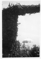CS141