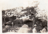 CT013