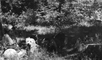 CT121