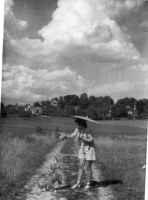 CT194