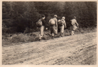 CT219