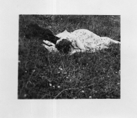 CT287