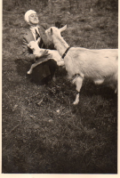 CT602
