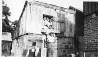 CU355