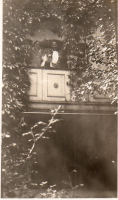 CU381