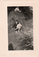 CU954