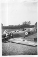 CV315