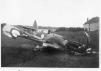 CV317