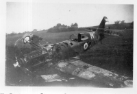 CV318