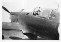 CV367