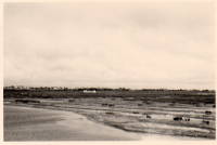 CV656