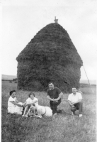 CV676